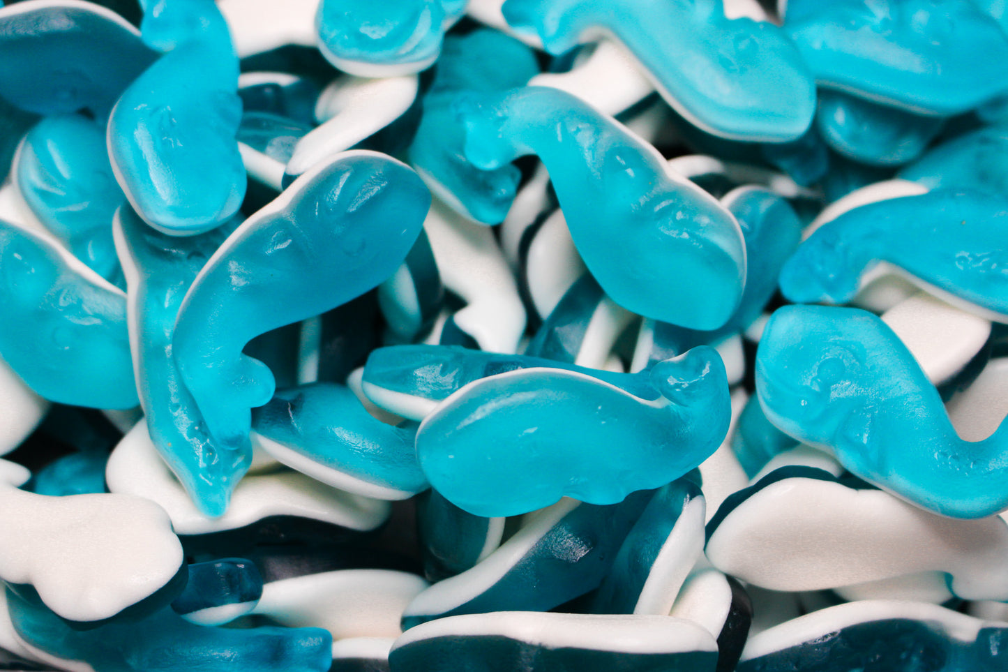 Baleines Bleues - 100g