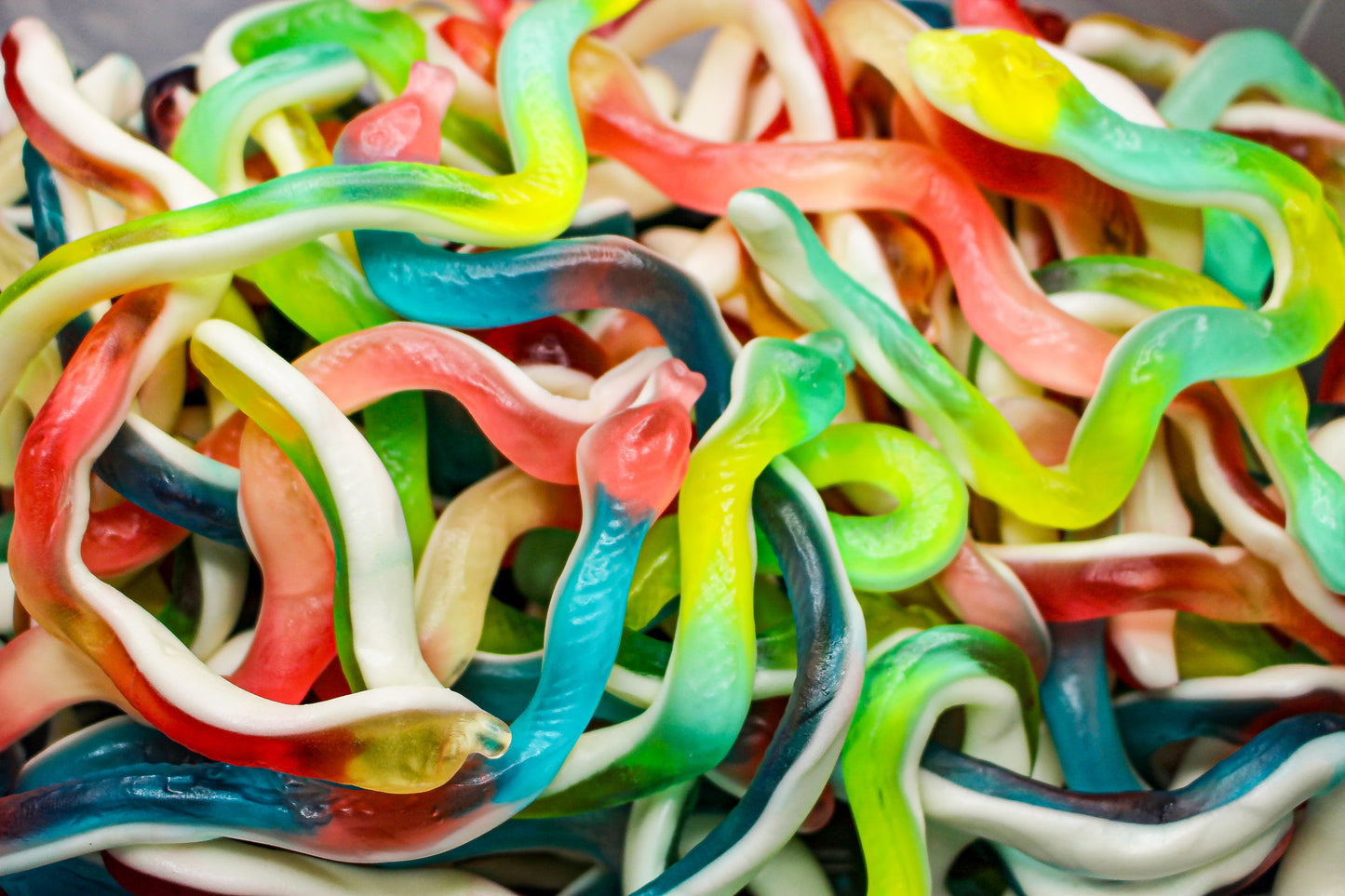 Serpents Lisses - 100g
