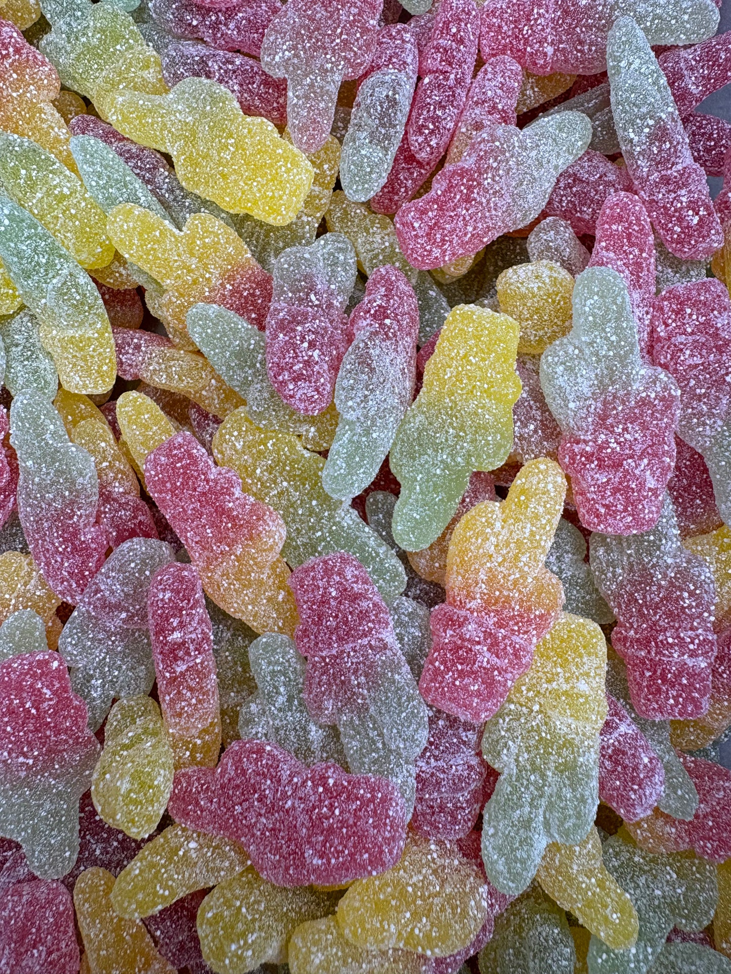 Cactus Pierrot Gourmand - 100g